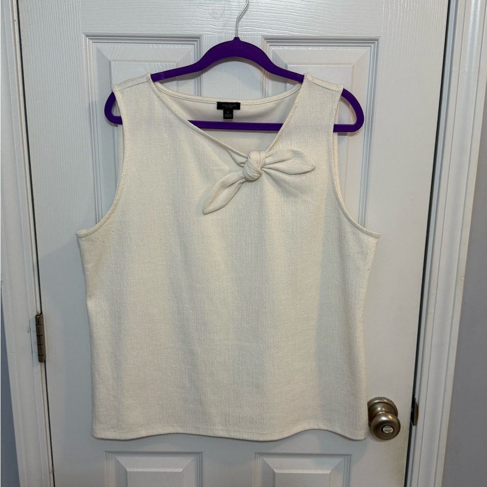 Ann Taylor Cream Knit Top XL